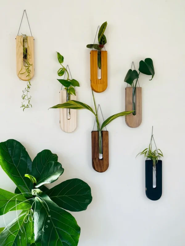 Wall decor/ Sustainable decor/ Boho modern/ Wall planter/ Gifts for her/ Gifts for plant lovers / Housewarming/ Sustainable gifts/ wall art - Image 4