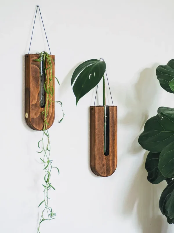 Wall decor/ Sustainable decor/ Boho modern/ Wall planter/ Gifts for her/ Gifts for plant lovers / Housewarming/ Sustainable gifts/ wall art - Image 2